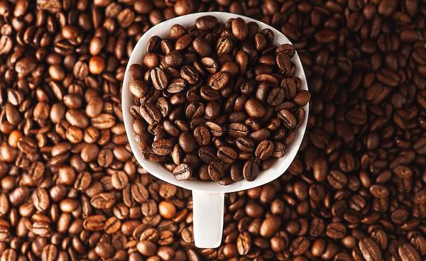 Máy sấy cà phê giúp tối ưu hóa quá trình sản xuất và xuất khẩu
