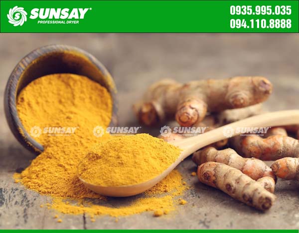 Sấy tinh bột nghệ bằng tủ sấy lạnh cho màu tươi, đẹp và chất lượng
