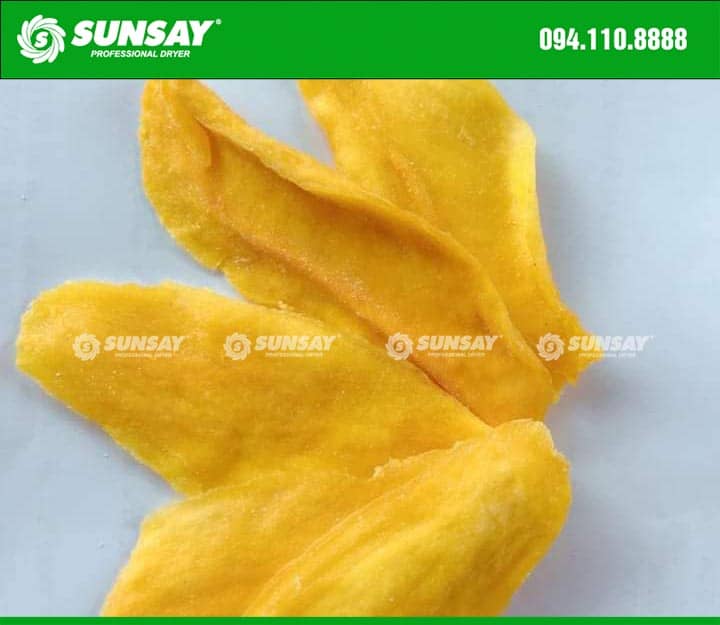 Xoài sấy dẻo bằng máy sấy lạnh SUNSAY