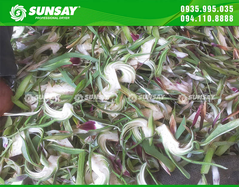 Sản phẩm sau khi sấy khô được đóng bao và cung cấp ra thị trường