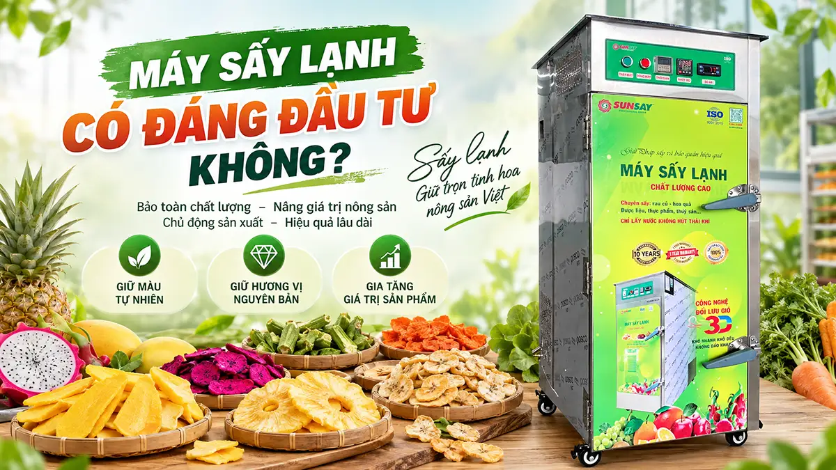 Máy sấy lạnh có đáng đầu tư không? Chi phí và cách đánh giá hiệu quả